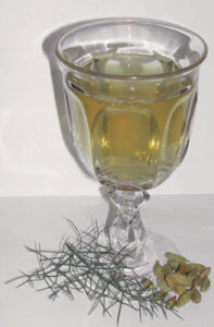 Herb Basics Image